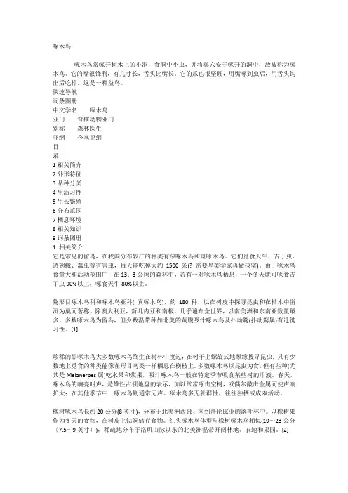 啄木鸟
