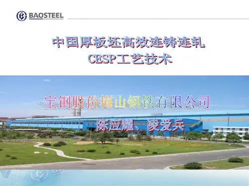 中国厚板坯高效连铸连轧CESP工艺技术(上午3)