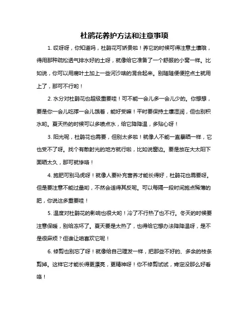 杜鹃花养护方法和注意事项