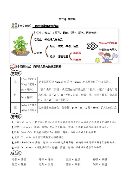 2-《落花生》五年级语文上册 含答案 部编版教师版