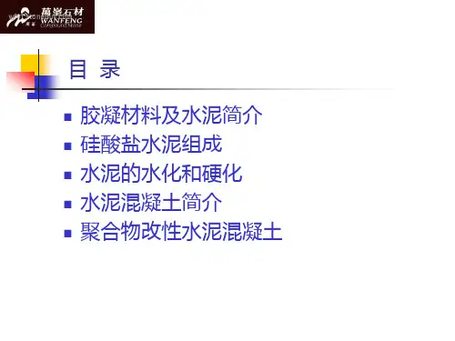 硅酸盐水泥孰料组成及其水化 混凝土