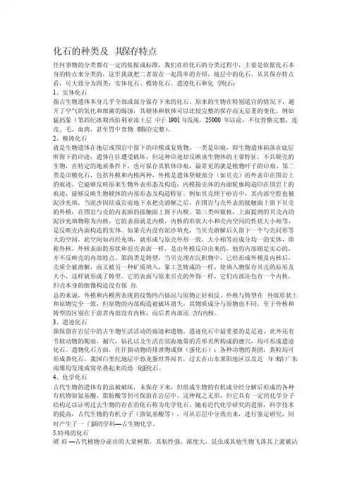 化石的种类及其保存特点