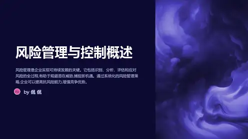 风险管理与控制