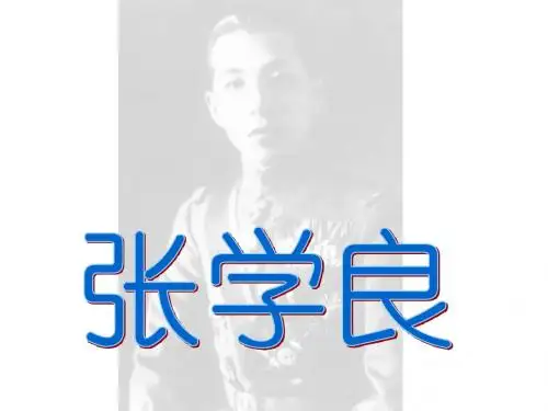 张学良生平ppt 汉卿