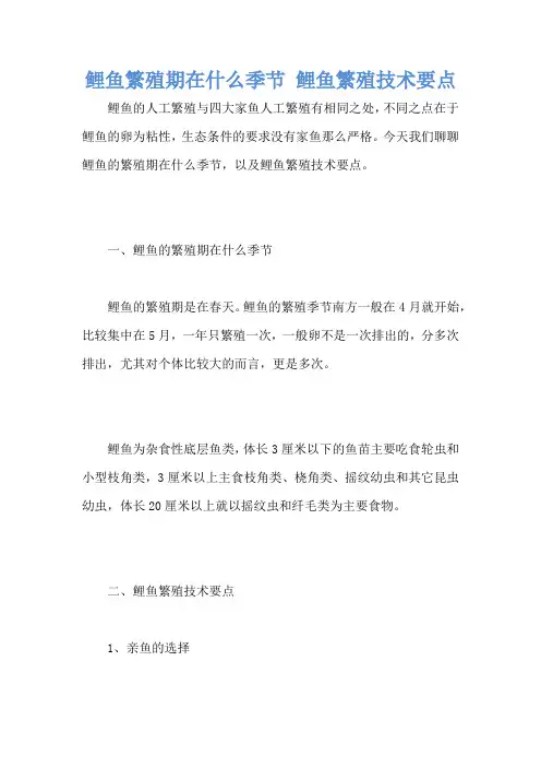 鲤鱼繁殖期在什么季节 鲤鱼繁殖技术要点