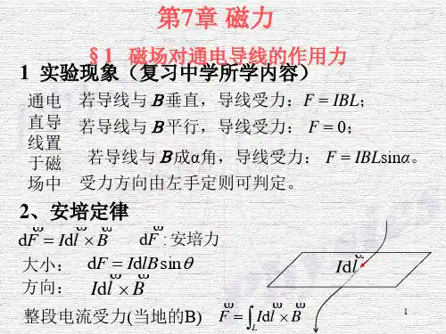 (新)磁力知识(PPT 20页)_