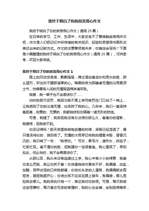 我终于明白了你的良苦用心作文