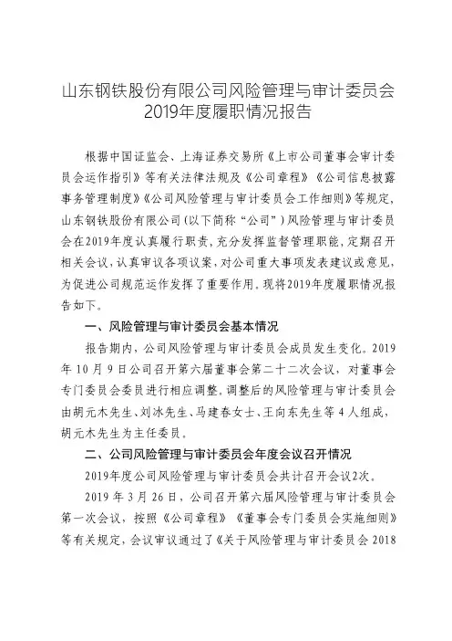 山东钢铁：风险管理与审计委员会2019年度履职情况报告