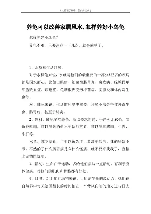 养龟可以改善家居风水,怎样养好小乌龟