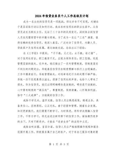 2024年信贷业务员个人工作总结及计划（二篇）