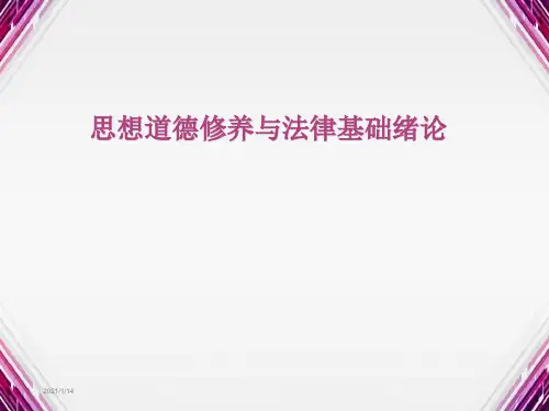 思想道德修养与法律基础绪论ppt课件