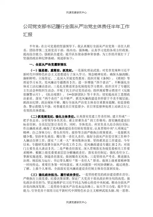 公司党支部书记履行全面从严治党主体责任半年工作汇报