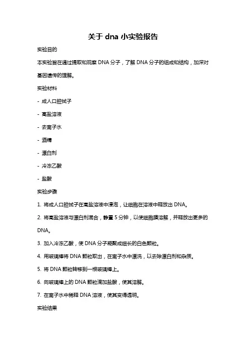关于dna小实验报告