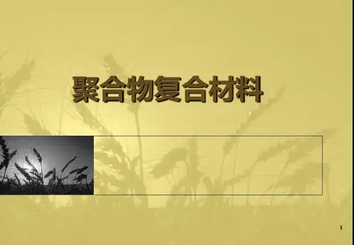 聚合物复合材料(第四章结构与性能)