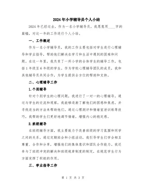 2024年小学辅导员个人小结