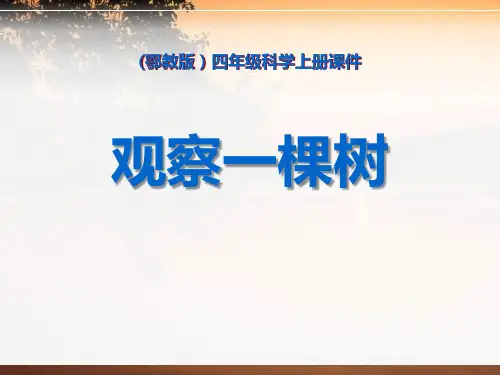 鄂教版四年级科学上册 (观察一棵树)寻访校园里的动植物新课件