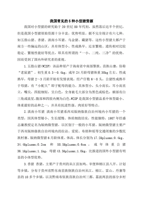 我国常见的5种小型猪资源