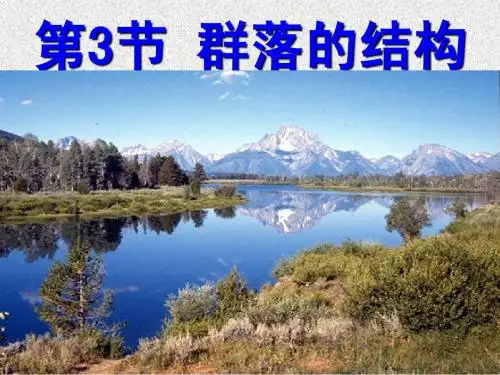 群落的结构