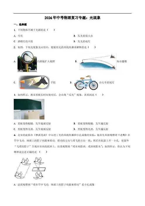 2024年中考物理复习专题：光现象(含答案)
