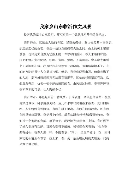 我家乡山东临沂作文风景