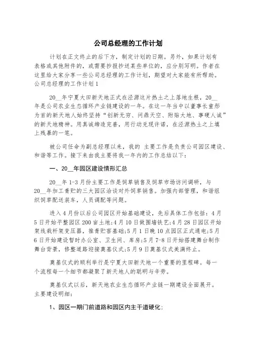 公司总经理的工作计划