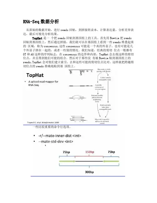 RNA-seq数据分析