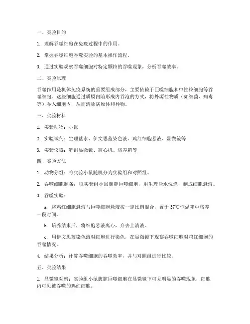 吞噬活动的实验报告