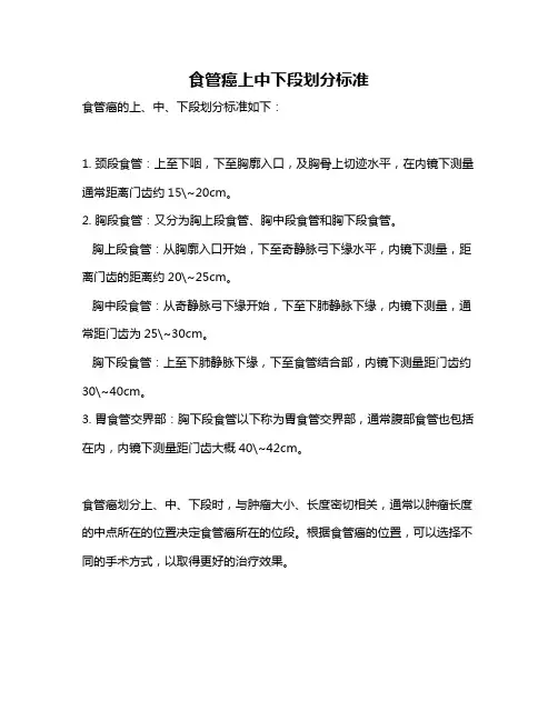 食管癌上中下段划分标准