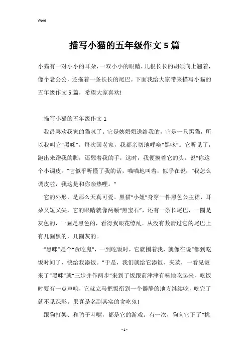 描写小猫的五年级作文5篇