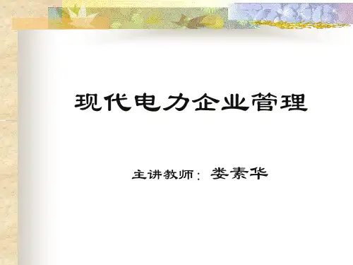 电力企业管理——第1章1