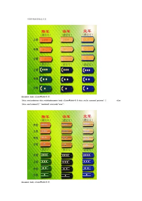 中国军衔肩章标志大全