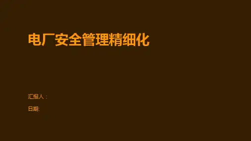 电厂安全管理精细化