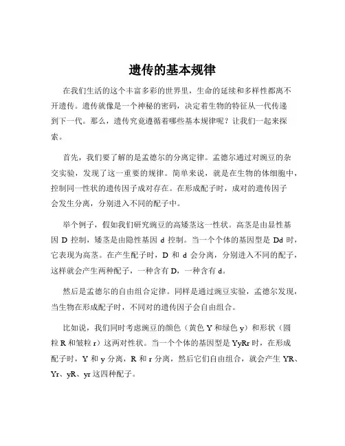 遗传的基本规律