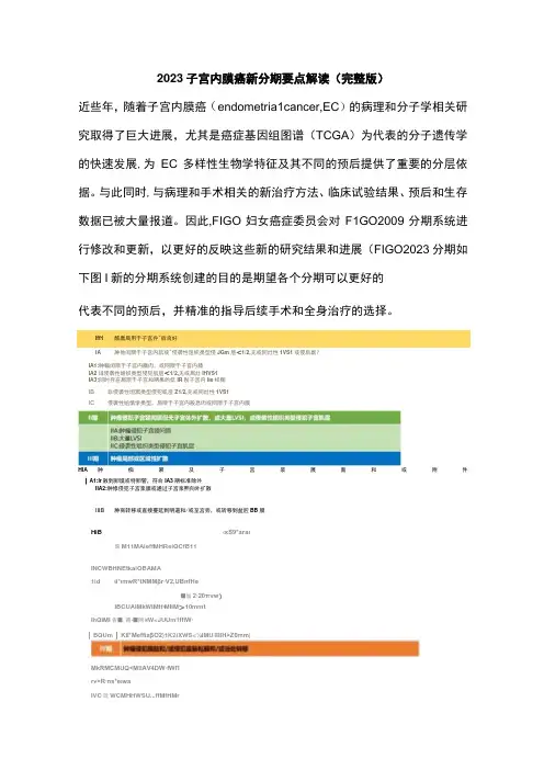2023子宫内膜癌新分期要点解读(完整版)