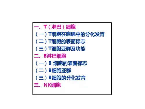 淋巴细胞概述