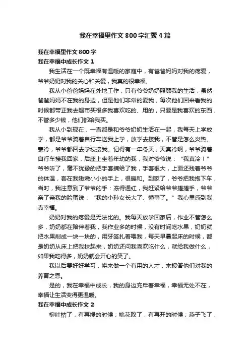 我在幸福里作文800字汇聚4篇