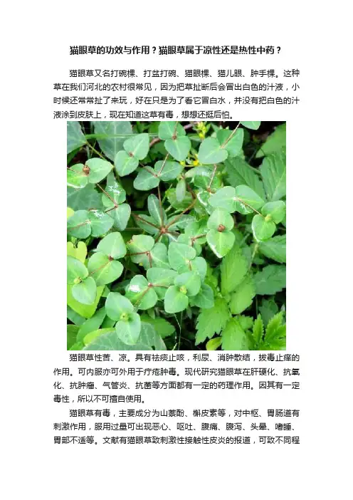 猫眼草的功效与作用？猫眼草属于凉性还是热性中药？