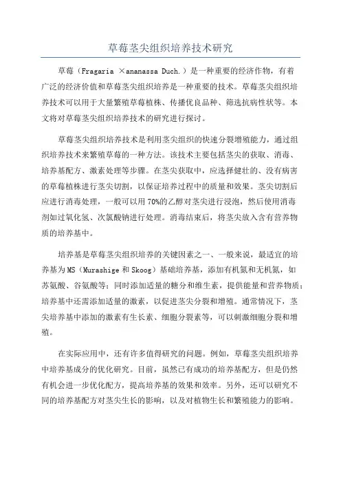 草莓茎尖组织培养技术研究