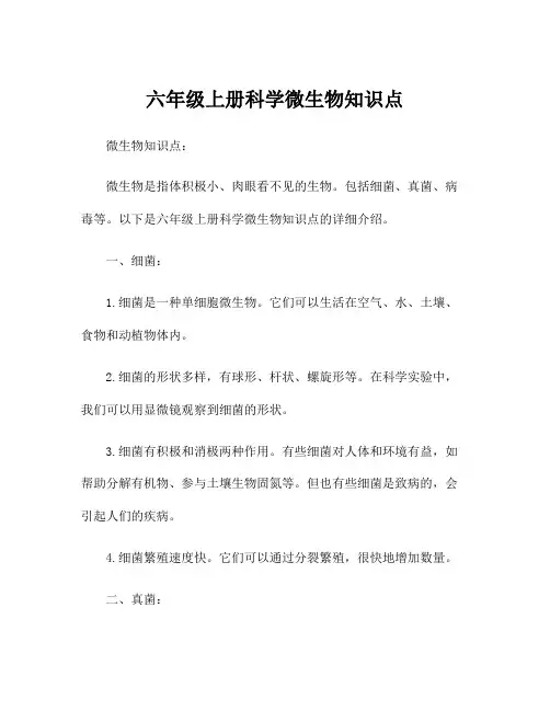 六年级上册科学微生物知识点