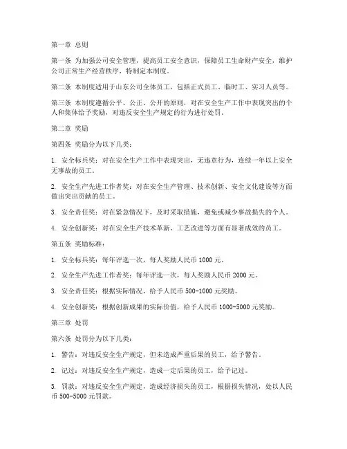 山东公司安全奖惩管理制度