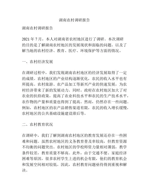 湖南农村调研报告