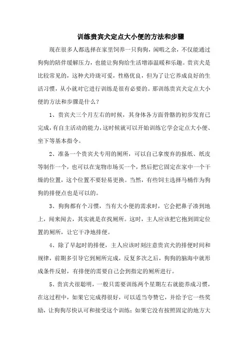 训练贵宾犬定点大小便的方法和步骤