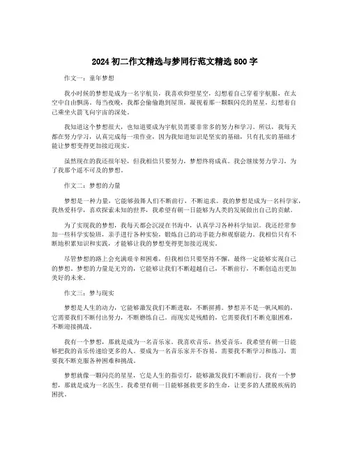 2024初二作文精选与梦同行范文精选800字