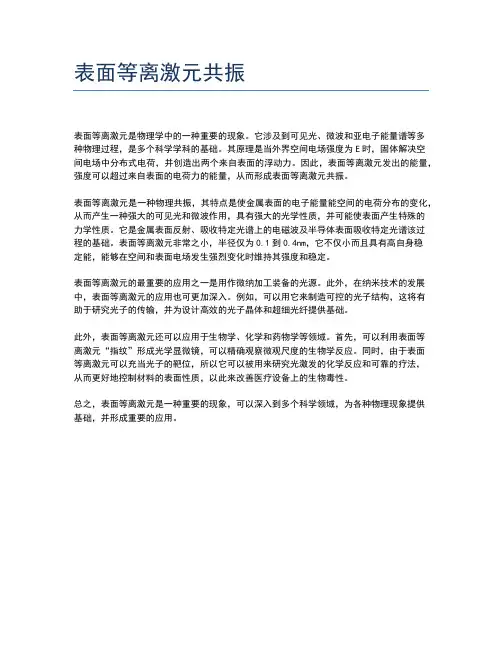 表面等离激元共振