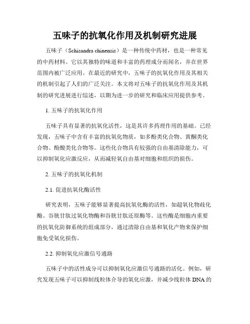 五味子的抗氧化作用及机制研究进展