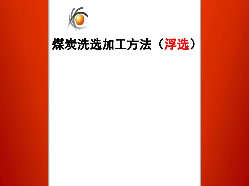 煤炭洗选加工方法(浮选)