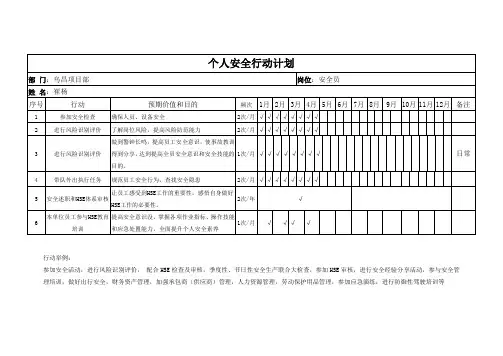 个人安全行动计划