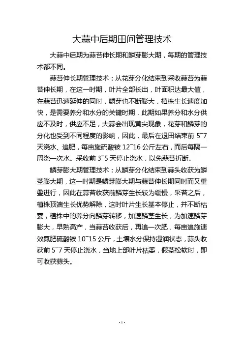 大蒜中后期田间管理技术