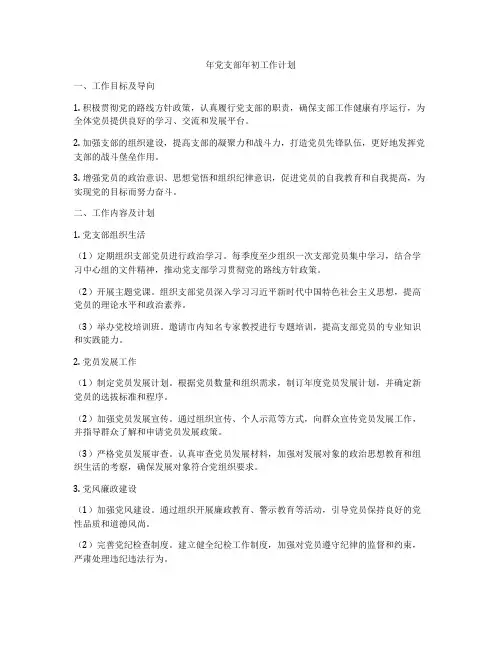 年党支部年初工作计划