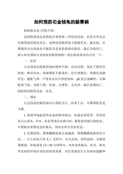 如何预防石金钱龟的肠胃病